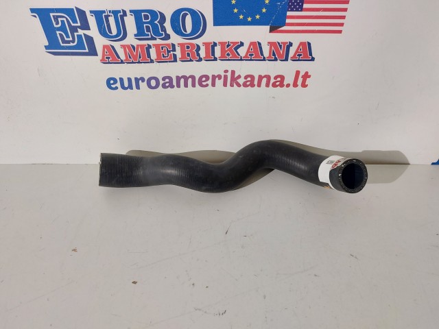 Lower Hose